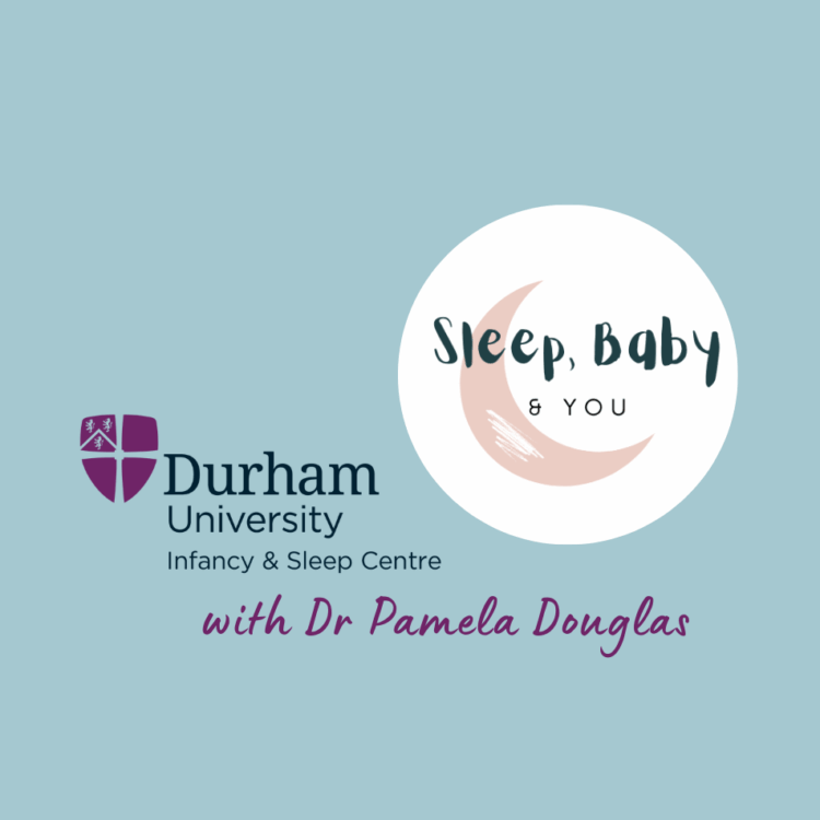 SBY header (952 x 952 px) (1)